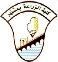 The Minister of Higher Education: New Various Programs in the Egyptian Universities