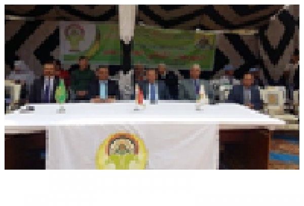 “Egypt witnesses unprecedented accomplishments” says the university president in the inauguration of the scouting festival of Benha university’s stduents