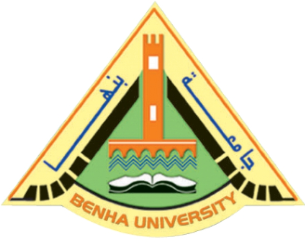 Chinese Language Courses at Benha University