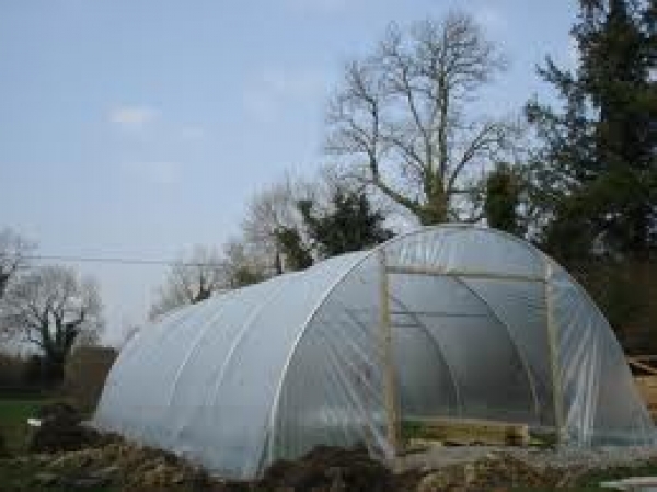 The Faculty establishes Greenhouses