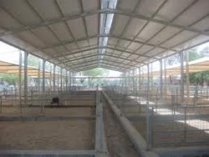 Improving the Animal farms